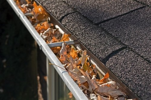 clean gutters