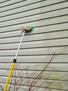 siding cleaning