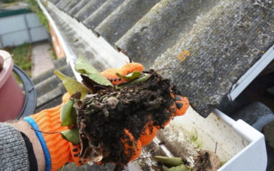 Spring Home Maintenance Tips