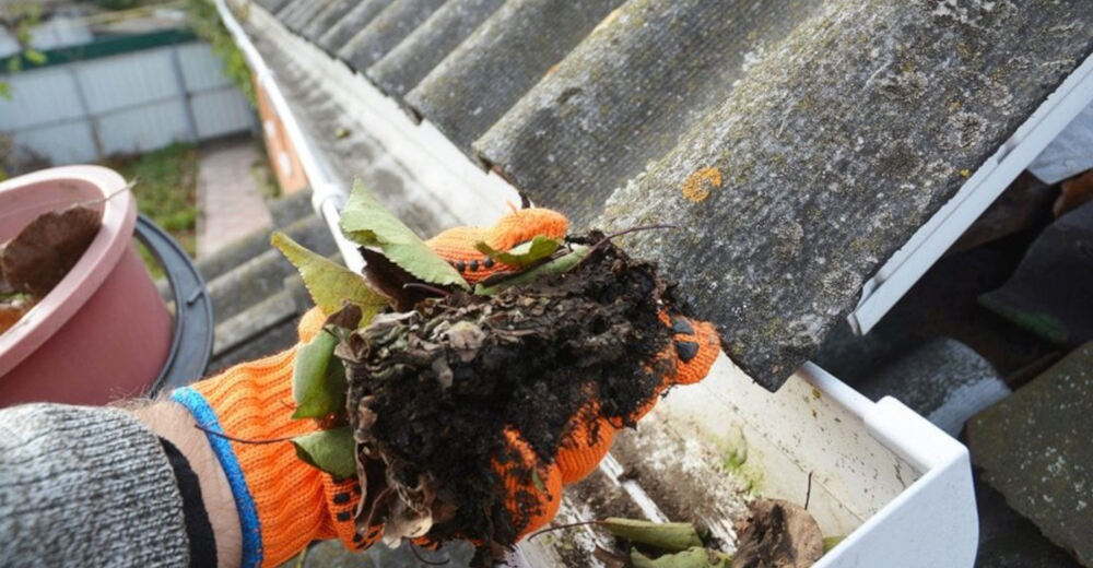Cleaning gutters featured